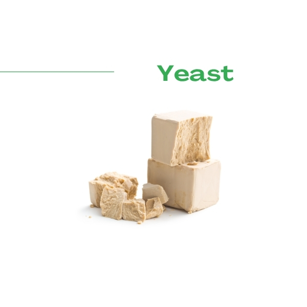 Yeast